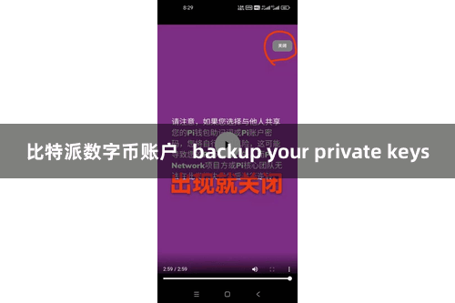 比特派数字币账户 backup your private keys