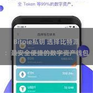 Bitpie私钥 选择比特派：最安全便捷的数字资产钱包