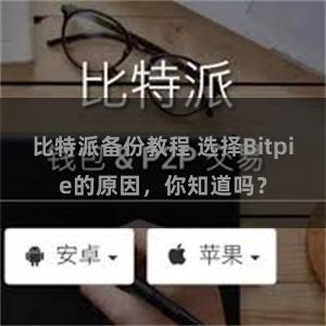 比特派备份教程 选择Bitpie的原因，你知道吗？