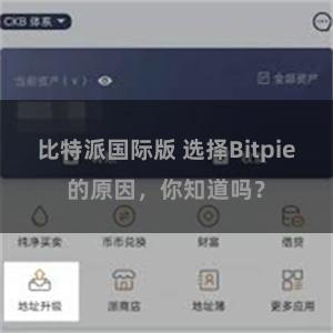 比特派国际版 选择Bitpie的原因，你知道吗？