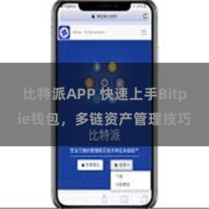 比特派APP 快速上手Bitpie钱包，多链资产管理技巧