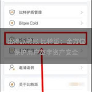 比特派转账 比特派：全方位保护用户数字资产安全