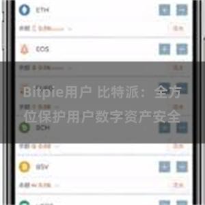 Bitpie用户 比特派：全方位保护用户数字资产安全