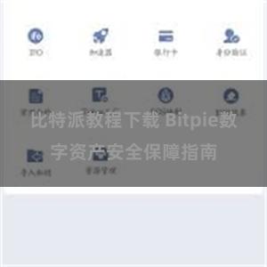 比特派教程下载 Bitpie数字资产安全保障指南