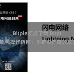 Bitpie便捷下载 Bitpie钱包操作指南：多链资产管理攻略