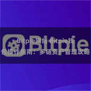 Bitpie网络 Bitpie钱包操作指南：多链资产管理攻略