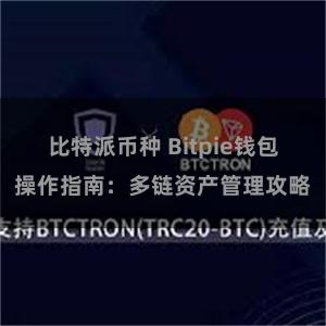 比特派币种 Bitpie钱包操作指南：多链资产管理攻略