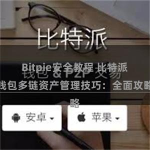 Bitpie安全教程 比特派钱包多链资产管理技巧：全面攻略