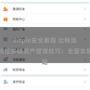 Bitpie安全教程 比特派钱包多链资产管理技巧：全面攻略