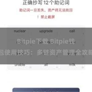 Bitpie下载 Bitpie钱包使用技巧：多链资产管理全攻略