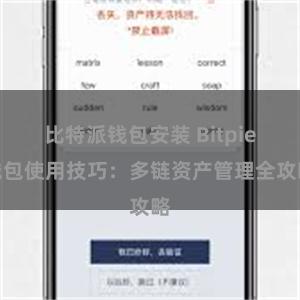 比特派钱包安装 Bitpie钱包使用技巧：多链资产管理全攻略