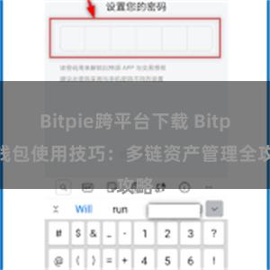 Bitpie跨平台下载 Bitpie钱包使用技巧：多链资产管理全攻略