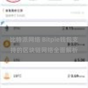 比特派网络 Bitpie钱包支持的区块链网络全面解析