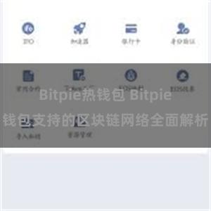 Bitpie热钱包 Bitpie钱包支持的区块链网络全面解析