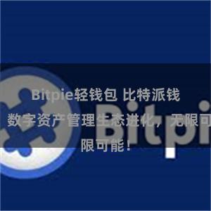 Bitpie轻钱包 比特派钱包：数字资产管理生态进化，无限可能！