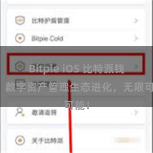 Bitpie iOS 比特派钱包：数字资产管理生态进化，无限可能！