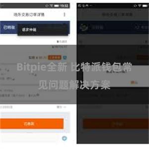 Bitpie全新 比特派钱包常见问题解决方案