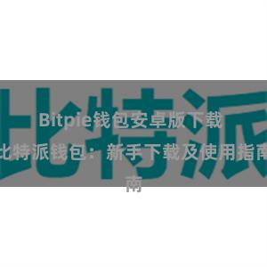 Bitpie钱包安卓版下载 比特派钱包：新手下载及使用指南