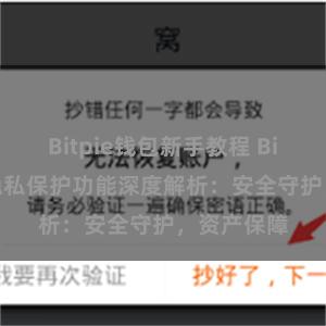 Bitpie钱包新手教程 Bitpie钱包隐私保护功能深度解析：安全守护，资产保障