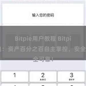 Bitpie用户教程 Bitpie钱包：资产百分之百自主掌控，安全可靠！