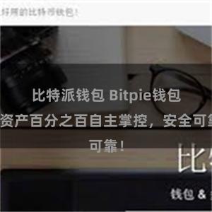 比特派钱包 Bitpie钱包：资产百分之百自主掌控，安全可靠！