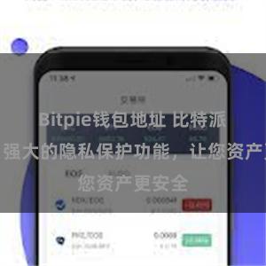 Bitpie钱包地址 比特派钱包：强大的隐私保护功能，让您资产更安全