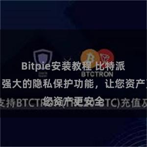 Bitpie安装教程 比特派钱包：强大的隐私保护功能，让您资产更安全