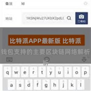 比特派APP最新版 比特派钱包支持的主要区块链网络解析