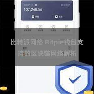 比特派网络 Bitpie钱包支持的区块链网络解析