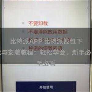 比特派APP 比特派钱包下载与安装教程：轻松学会，新手必看