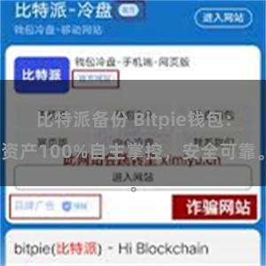 比特派备份 Bitpie钱包：资产100%自主掌控，安全可靠。