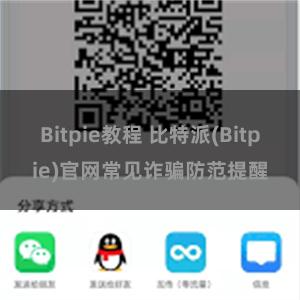 Bitpie教程 比特派(Bitpie)官网常见诈骗防范提醒