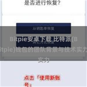 Bitpie安卓下载 比特派(Bitpie)钱包的团队背景与技术实力