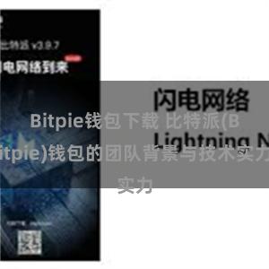 Bitpie钱包下载 比特派(Bitpie)钱包的团队背景与技术实力