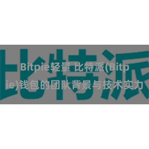 Bitpie轻量 比特派(Bitpie)钱包的团队背景与技术实力