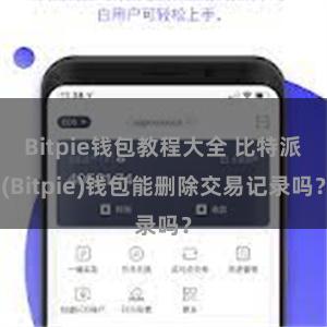 Bitpie钱包教程大全 比特派(Bitpie)钱包能删除交易记录吗？