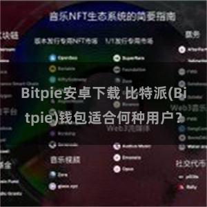 Bitpie安卓下载 比特派(Bitpie)钱包适合何种用户？