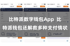 比特派数字钱包App  比特派钱包还解救多种支付情状