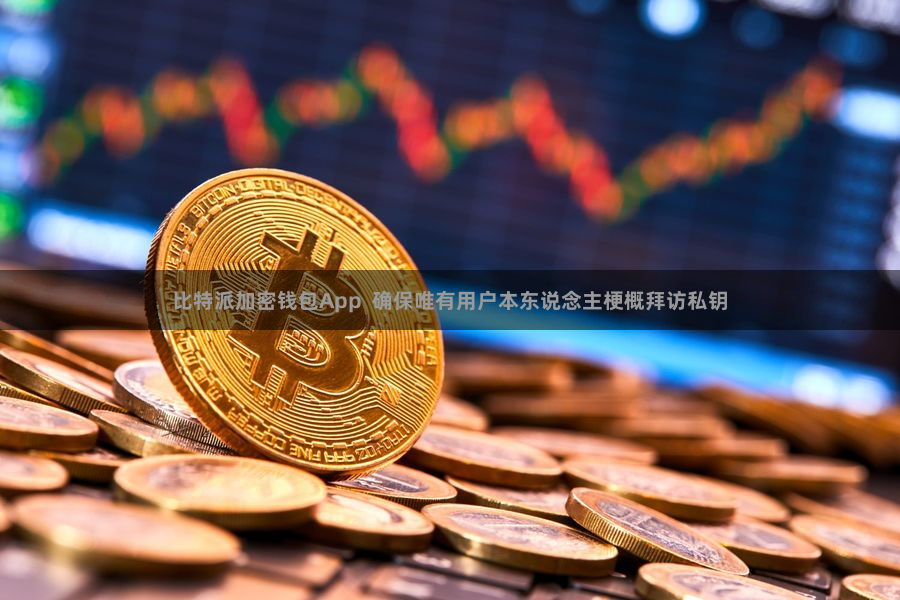 比特派加密钱包App  确保唯有用户本东说念主梗概拜访私钥