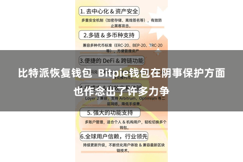 比特派恢复钱包  Bitpie钱包在阴事保护方面也作念出了许多力争